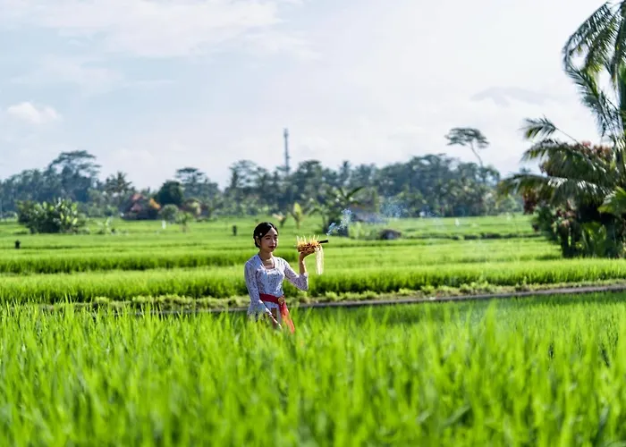 Kubu Bali Baik & - Chse Certified Villa *