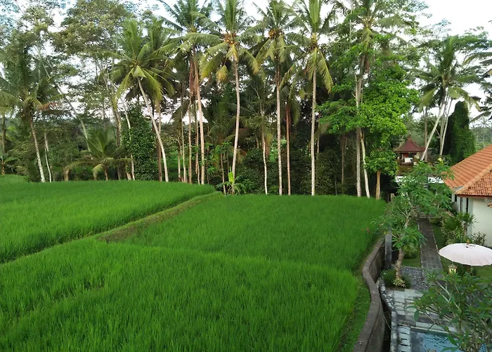 Kubu Bali Baik & - Chse Certified